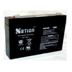 BATERIA SECA 6V -10AH NETION