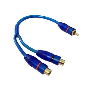 Y RCA 2 HEMBRAS/1 MACHO